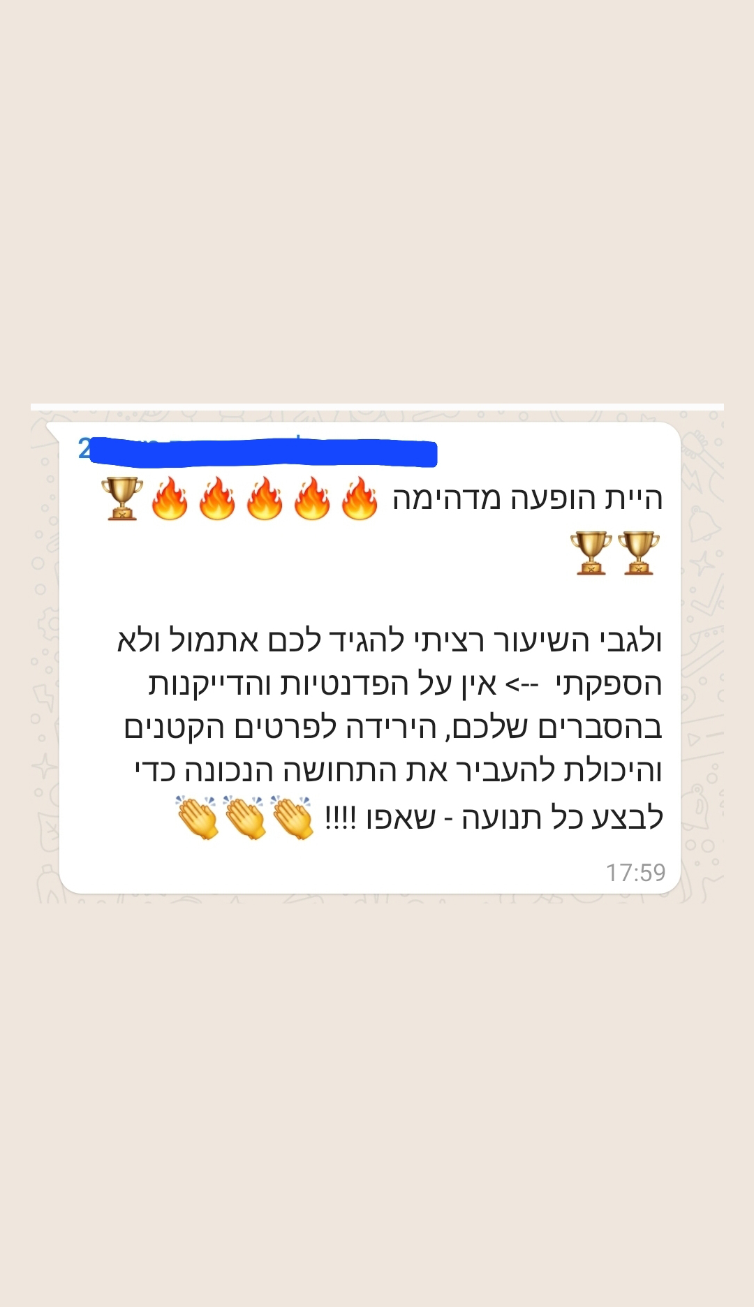 המלצות בי בצ'אטה